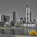 DSC_0465-HDR_CK_filtered